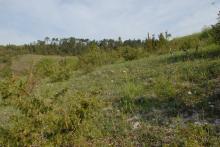 Paysage du Montmorélien