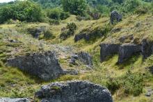 Plateau des meulières, C. Roche