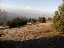 Pelouse et genévriers sur le Vignac, C.Roche