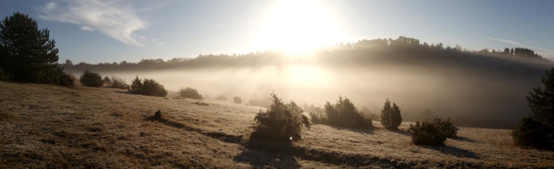 Décoration de fond pour  Explorez ...